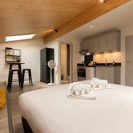 Apartment Avec Belle Pierre Et Climatisation Pour 2 Personnes Bordeaux